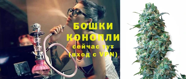 шишки Наволоки