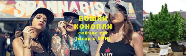шишки Наволоки